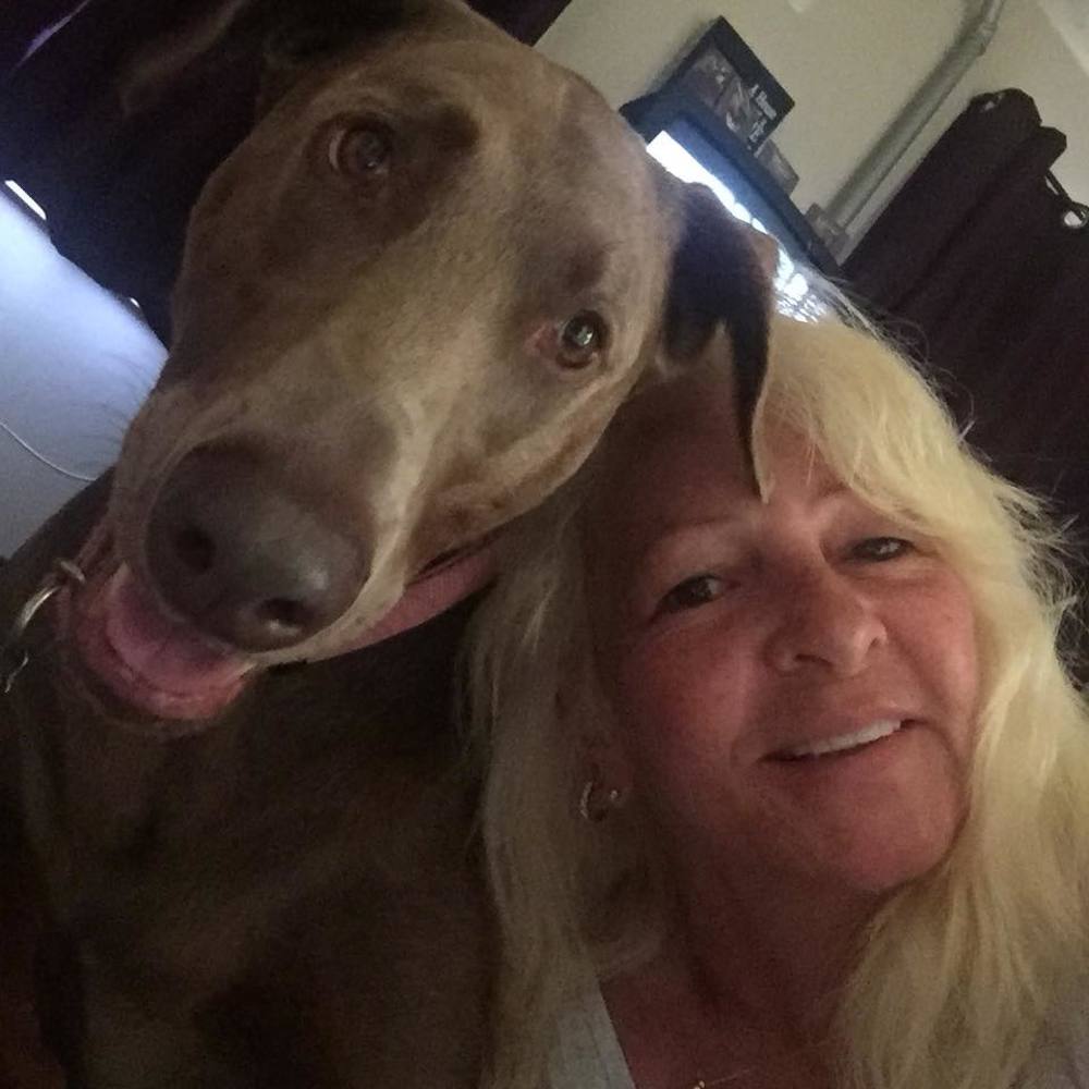 Meet your Posher, Maureen